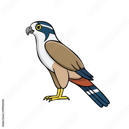 Cartoon falcon bird illustration with detailed plumage and piercing eyes