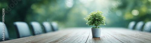 Clean corporate meeting room conference table potted plant wood surface natural light modern office blurred background copy space, calm mood