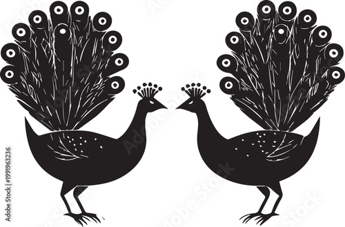 Peacock showcasing intricate feather patterns isolated on white background