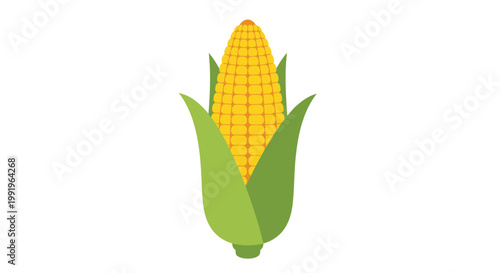 A vibrant illustration of a single ear of yellow corn on a white background