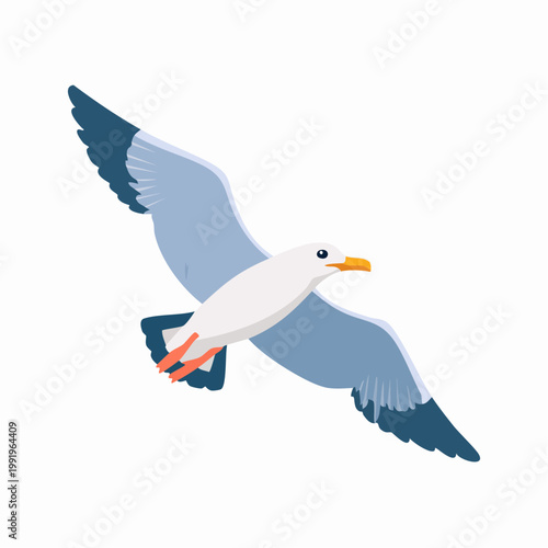 Cartoon Seagull in Flight