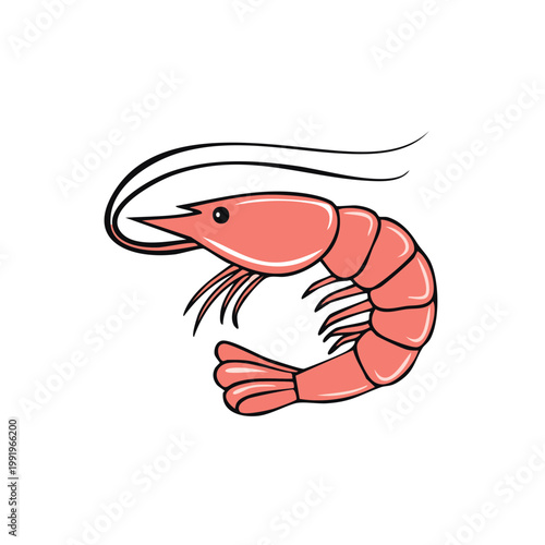 Stylized Pink Shrimp Illustration with Curled Tail and Long Antennae