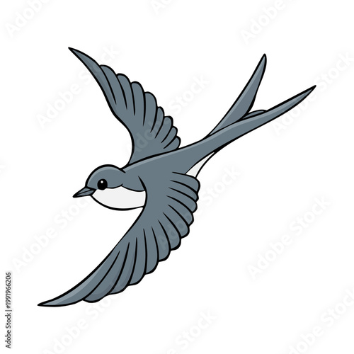 Illustration of a swift bird in flight with its wings spread wide in a dynamic pose