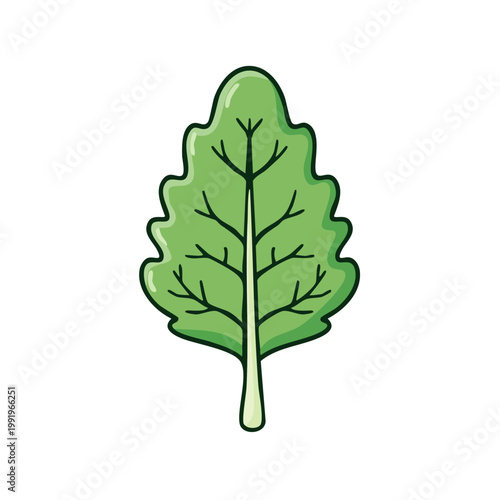 Vibrant green spinach leaf illustration with detailed veins and scalloped edges