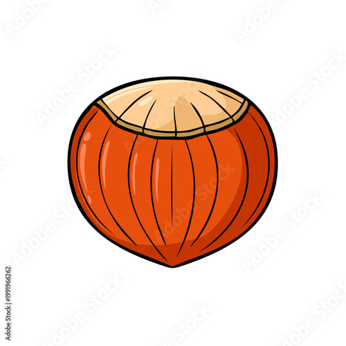 Hand Drawn Illustration of a Single Hazelnut with a Textured Shell and Light Colored Top