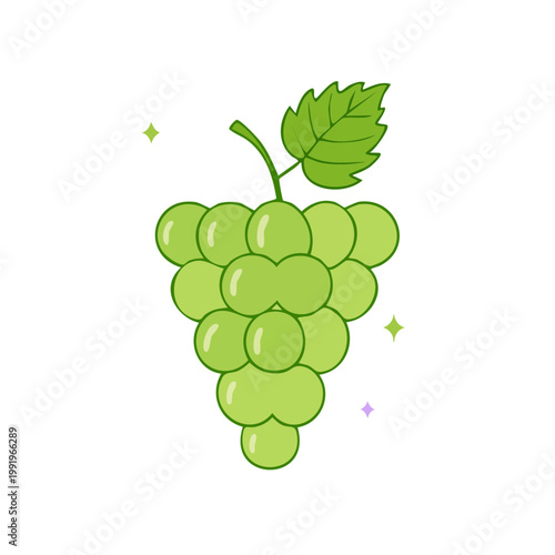 Fresh Green Grapes with Leaf and Sparkles Isolated on White