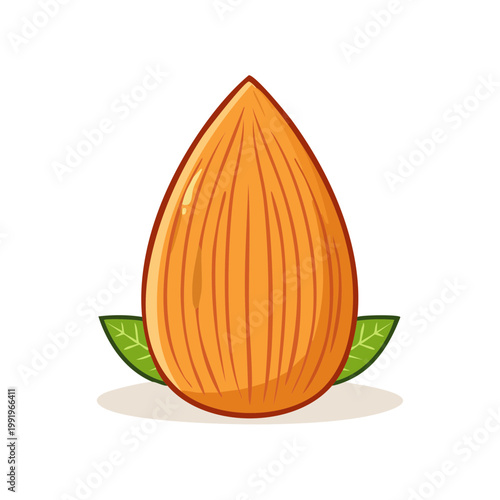 Cartoon almond nut with green leaves, illustration of a single healthy food ingredient