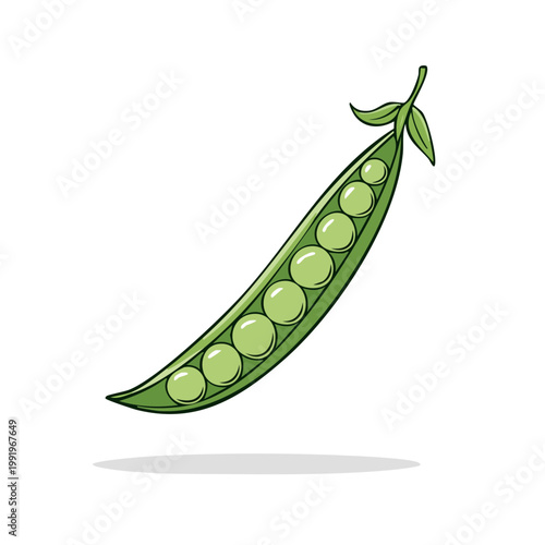 Fresh green pea pod with visible round peas inside and a leaf at the top isolated on white