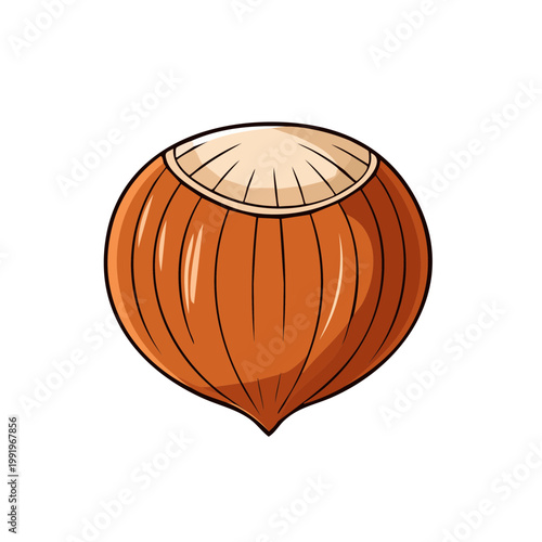 Illustration of a single raw hazelnut with its shell intact showing natural brown texture and a visible opening at the top