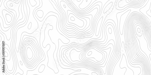 Contour abstract map relief land outline. Topographic map patterns. White wave paper curved reliefs abstract background. Background of the topography map. Abstract pattern with lines.