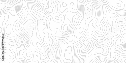 Contour abstract map relief land outline. Topographic map patterns. White wave paper curved reliefs abstract background. Background of the topography map. Abstract pattern with lines.
