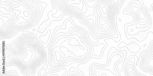 Contour abstract map relief land outline. Topographic map patterns. White wave paper curved reliefs abstract background. Background of the topography map. Abstract pattern with lines.