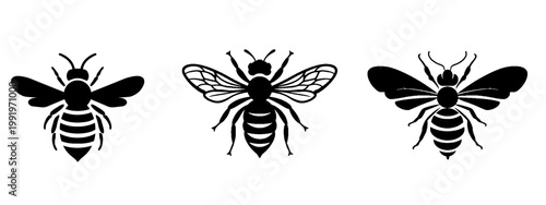 insects bee animal vector symbol icon illustration set collection for logo - Black silhouette of three different bees isolated on transparent background