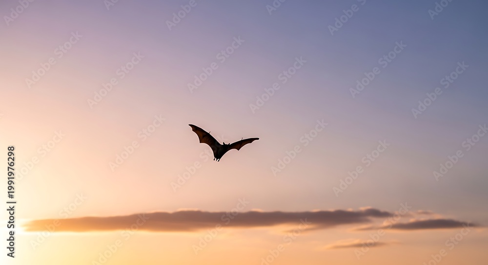 Naklejka premium Silhouette of a bat flying in the dusk sky with soft clouds during sunset
