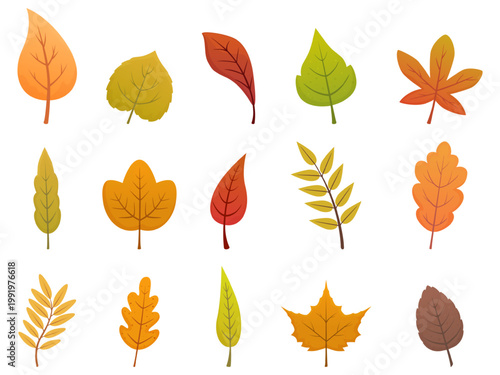 Cartoon fall leaves. Colorful leaf of maple, oak, birch. Different seasonal nature elements, autumn tree foliage. Isolated flat botanical sapid vector clipart
