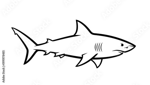 Stylized Outline Drawing of a Great White Shark, Marine Predator, Ocean Wildlife