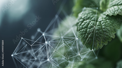 normalizing. Nature and technology concept with organic plant patterns merging with geometric green and silver shapes. product launch decks.