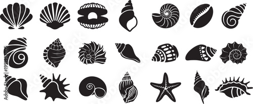 Seashell silhouette collection featuring minimal black vector icons of ocean shells and starfish. Modern flat design perfect for beach themes, summer branding, coastal decor, and marine projects.