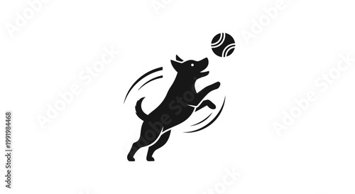 Black dog jumping for a ball.