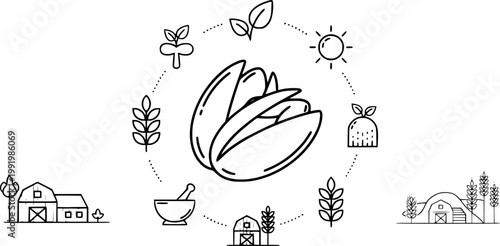 Pistachio icon black and white vector illustration line icon vector pictogram – Black and White Vector Illustration
