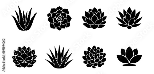 Succulent black silhouette icons, 8 desert plant vector set, aloe vera and cactus shapes