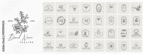 Vintage Botanical Logo Collection, Hand Drawn Floral Branding Templates, Elegant Engraved Nature Logo Set Vector
