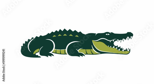 A dark green alligator with a light green underbelly and mouth opens wide, displaying sharp teeth
