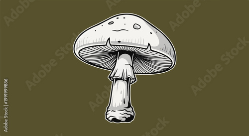 A detailed illustration of a classic Amanita mushroom with its distinctive cap and gills