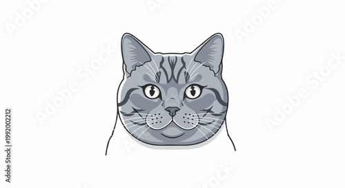A close-up illustration of a gray tabby cat's face with wide eyes and whiskers