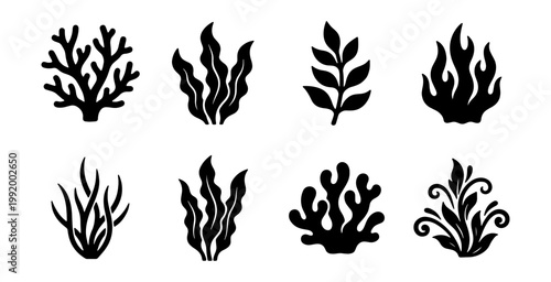 Seaweed, ocean plants, aquatic foliage, black icons