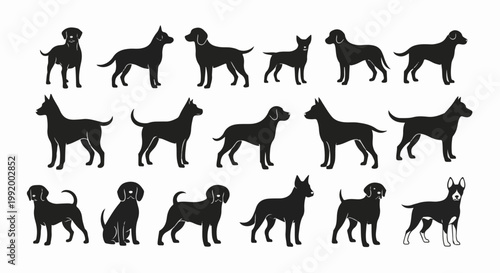 A collection of diverse dog silhouettes standing and sitting against a white backdrop