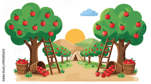 Apple orchard harvest scene with trees ladders buckets and tents at sunset.