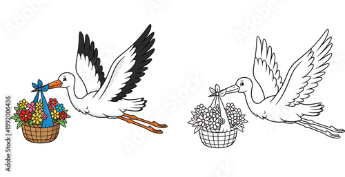 Stork Flying with Flower Basket Cartoon Illustration and Coloring Page Set for Kids Activity and Education