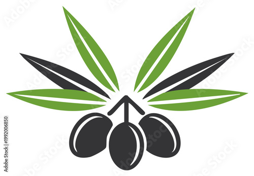 Stylized olive branch with three dark olives and vibrant green leaves in a symmetrical fan shape