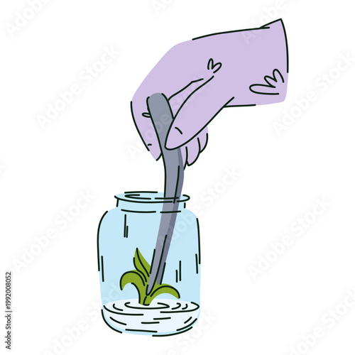 Laboratory research of plants, a hand in a rubber glove using tongs places a plant sprout into a nutrient gel at the bottom of a jar