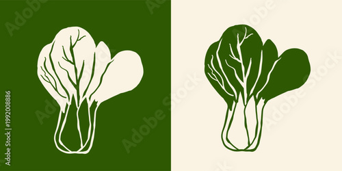 Stylized line art a fresh choy vegetable isolated on a white background. Hand drawn vegetable sketch works perfectly for Asian cuisine menus and healthy nutrition content , vitamins and pattern .