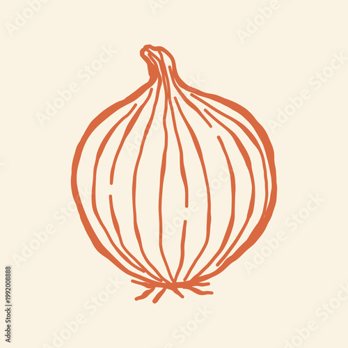 Hand drawn vector Onion illustration . Whole vegetable. Ink botanical vintage illustration for kitchen decoration and healthy culinary blog content. Isolated clipart icon on white background.