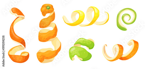 Citrus zest. Peel twist spiral rind lemon, orange lime grapefruit tangerine slice peeled fruit skin summer cocktail bar ingredient cartoon isolated set neat vector illustration