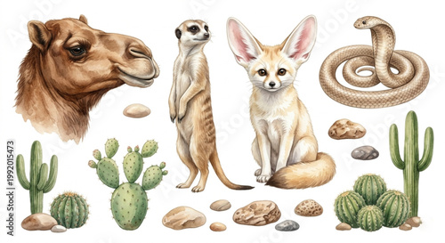 Desert Wildlife Animals Collection: Dromedary Camel, Meerkat, Fennec Fox