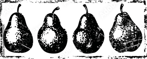 vintage illustration of four ripe pears with stems in black and white