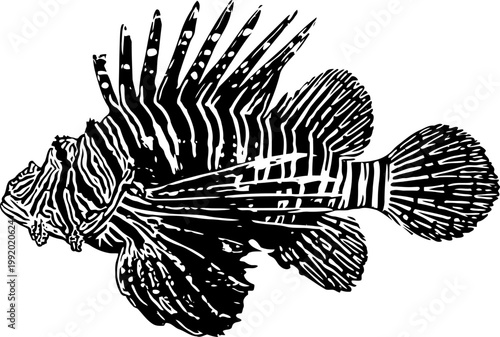 Lionfish silhouette illustration with detailed fin spines and striped pattern in black and white