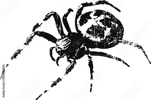 black spider silhouette with detailed legs and body isolated on white background