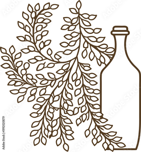 Bottle with leafy branches elegant botanical line art with natural floral elements rustic vintage illustration design