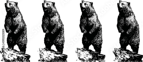 standing bear illustration in black and white vintage with rocky base set of four