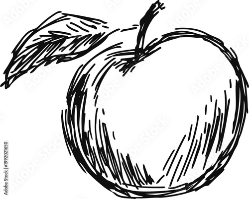 Hand drawn apple sketch with leaf simple black ink fruit drawing, natural healthy food illustration