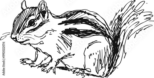 hand drawn chipmunk sketch with detailed fur texture and expressive face in black ink