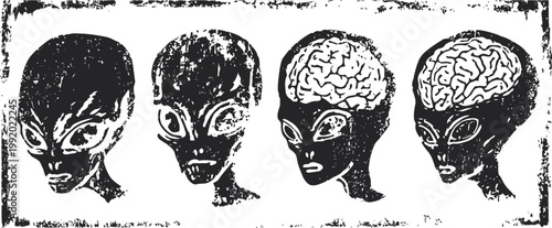 alien head sketches showing progressive brain exposure and detailed facial features in monochrome