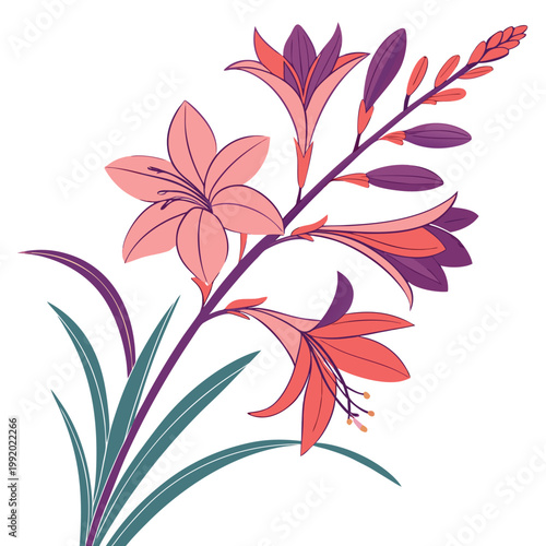 Bugle Lily Flower Isolated Vector Design