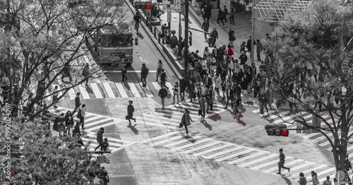 Shibuya crossing, crowds at intersection, many people cross zebra crossing, red traffic light, black and white, Shibuya, Udagawacho, Tokyo, Japan