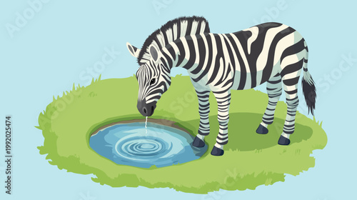 A zebra stands near water, dipping its head to drink. It's surrounded by green grass and blue sky